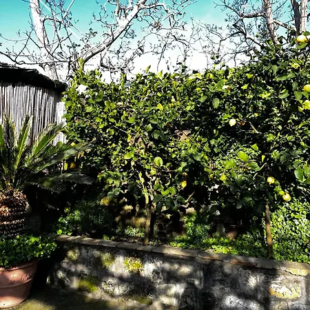 Holiday home Casa Dolce Casa *